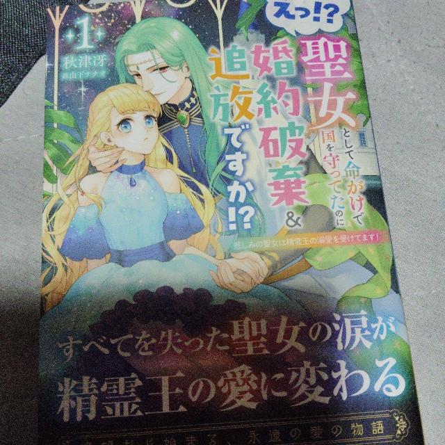えっ!?聖女として命がけで国を守ってたのに婚約破棄&追放ですか!?@ < 本/雑誌 えっ!?聖女として命がけで国を守ってたのに婚約破棄&追放ですか!?@ < 本/雑誌の