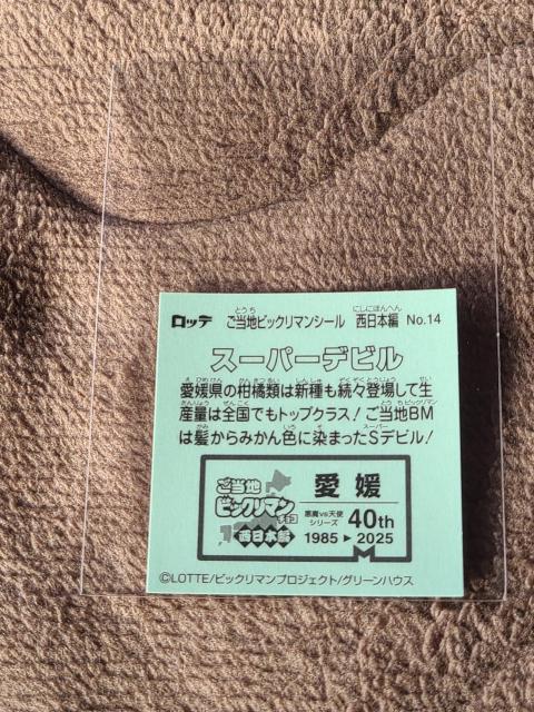 �����n�r�b�N���V�[���@�����{�ҁ@NO.14�X�[�p�[�f�r�� �� �z�r�[�� 