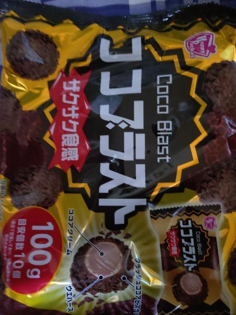 �R�R�u���X�g  �� �O����/�h�����N�� 