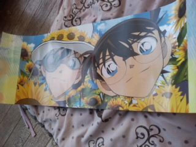 名探偵コナン キッド&コナン スティックポスター < アニメ/コミック/キャラクター  名探偵コナン キッド&コナン スティックポスター  < アニメ/コミック/キャラクターの