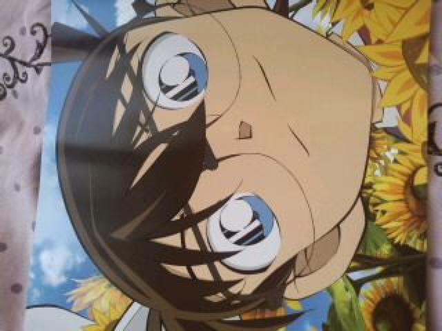 名探偵コナン キッド&コナン スティックポスター < アニメ/コミック/キャラクター  名探偵コナン キッド&コナン スティックポスター < アニメ/コミック/キャラクターの