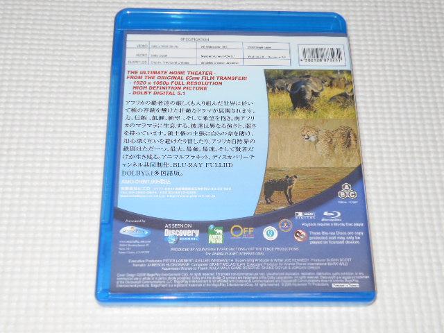 BDAFRICA's SUPER SEVEN AtJ̔eҒB u[C  CD/DVD/rfI 