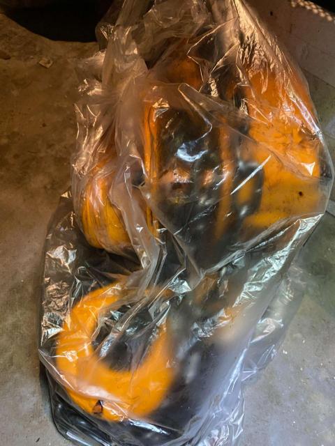 KITO �L�g�[ M3�^ �`�F�[���u���b�N 1.5�g���g�� ���{�� �V�i���l �� �y�b�g/��|/���|�� 