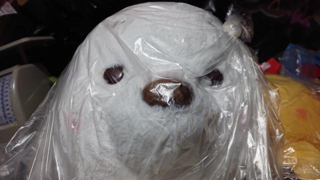 プーさんぬいぐるみ・ホワイト < おもちゃ  プーさんぬいぐるみ・ホワイト  < おもちゃの