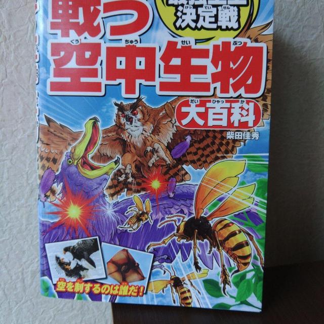 戦う空中生物大百科 最強空王決定戦 < 本/雑誌  戦う空中生物大百科 最強空王決定戦  < 本/雑誌の