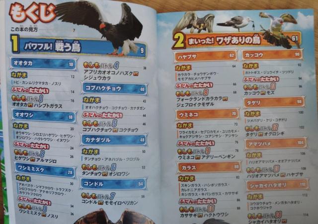 戦う空中生物大百科 最強空王決定戦 < 本/雑誌  戦う空中生物大百科 最強空王決定戦 < 本/雑誌の