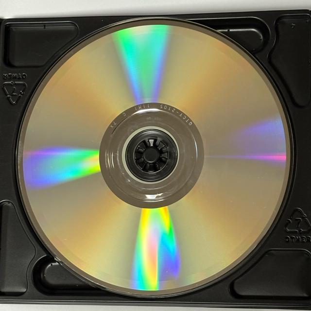 CYNDI LAUPER / Sisters Of Avalon < CD/DVD/ビデオ  CYNDI LAUPER / Sisters Of Avalon < CD/DVD/ビデオの