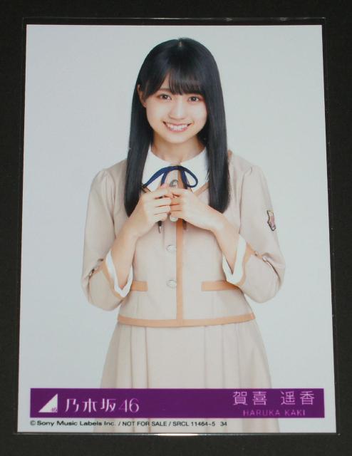 T؍46 킹̕یF@ʐ^P@y   ^gObY 