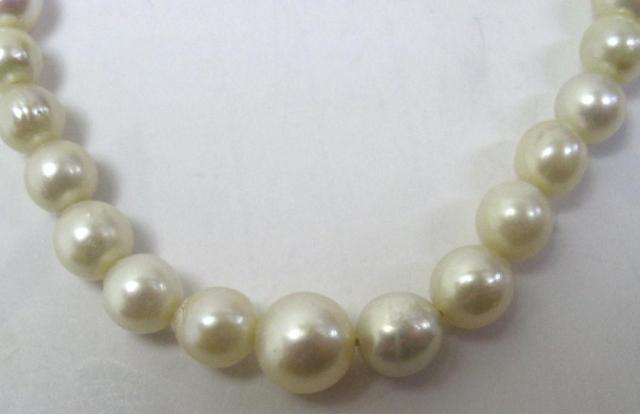 ɔiK18NXv _C3tp[lbNX2AAR^gbv7mmUP  ANZT[/v 