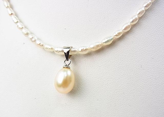 500~X^i@Wp[@{^@TOPt@lbNX