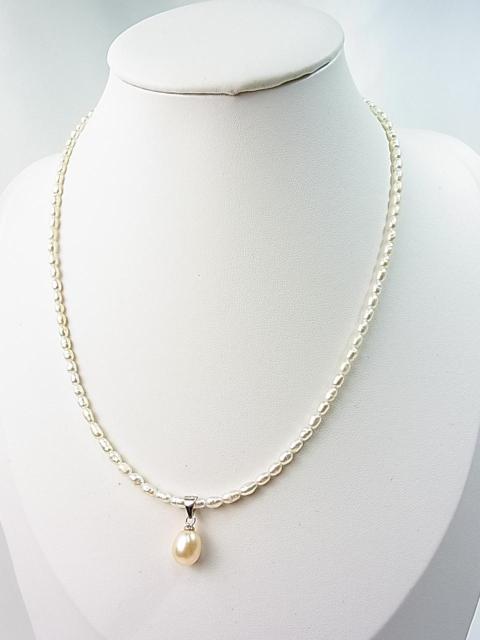 500~X^i@Wp[@{^@TOPt@lbNX