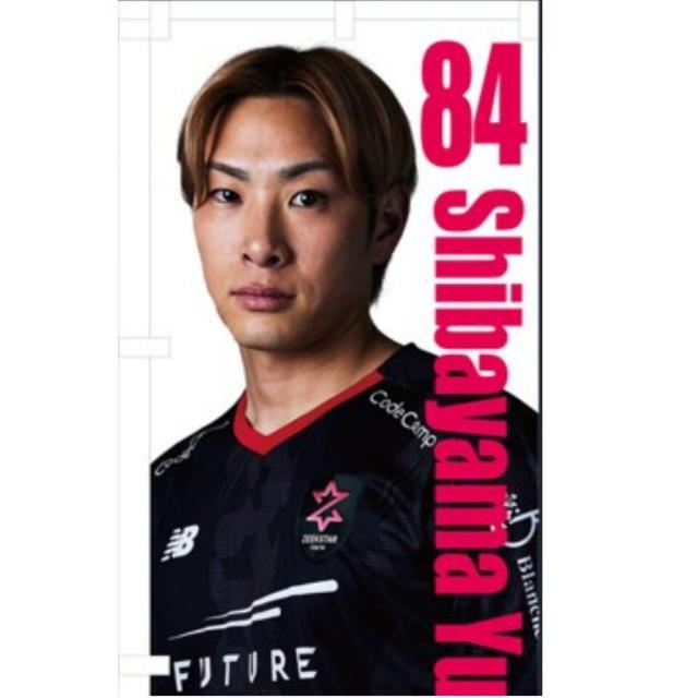 #84 ĎR TMI MTC fop̂ڂ 