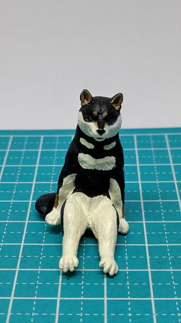 �K�`���K�`���@�����@���錢�@�@�N���V�o�@ ��权N���u�@�@�@�M�������e�B���J�v�Z������  �� �z�r�[�� 