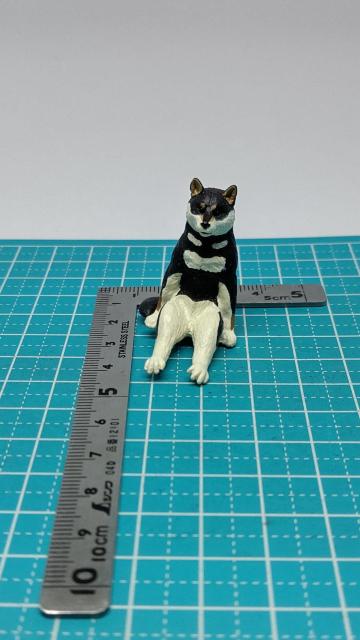 �K�`���K�`���@�����@���錢�@�@�N���V�o�@ ��权N���u�@�@�@�M�������e�B���J�v�Z������ �� �z�r�[�� 