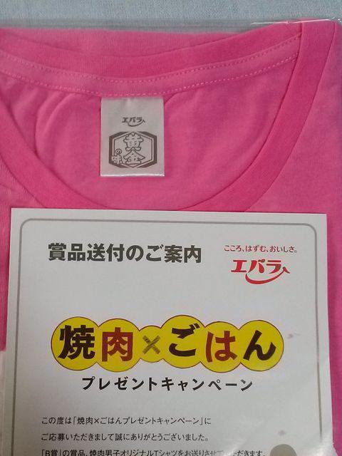 IiGo ̖ ējqsVc pt[tI   ^gObY 