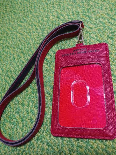 _NLIVETOUR2019XVv~AV[gIDJ[hP[X  ^gObY 