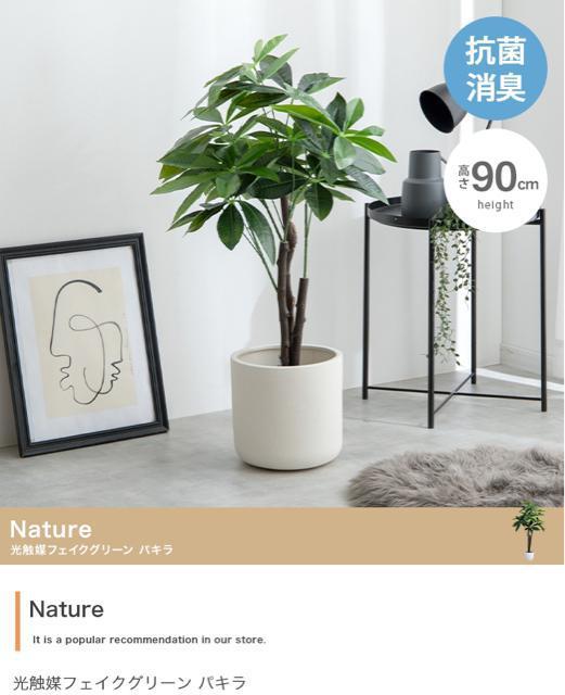 【送料無料】観葉植物 パキラ 光触媒人工観葉植物 インテリア 置物 < インテリア/ライフ 【送料無料】観葉植物 パキラ 光触媒人工観葉植物 インテリア 置物 < インテリア/ライフの