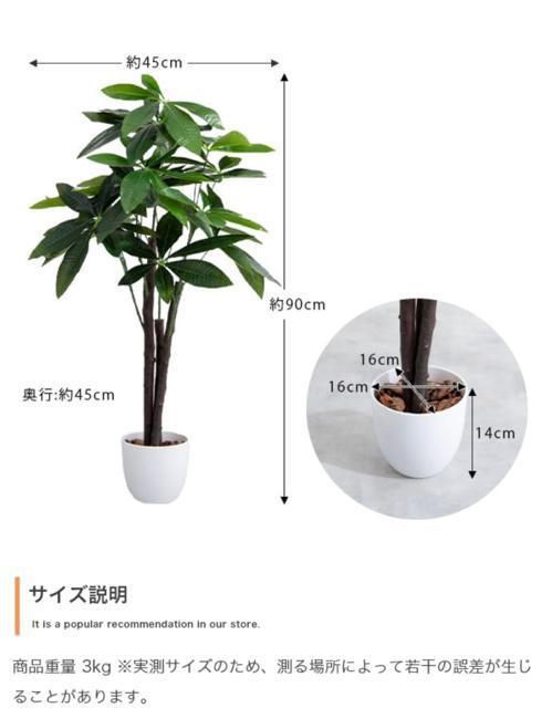 【送料無料】観葉植物 パキラ 光触媒人工観葉植物 インテリア 置物 < インテリア/ライフ 【送料無料】観葉植物 パキラ 光触媒人工観葉植物 インテリア 置物 < インテリア/ライフの