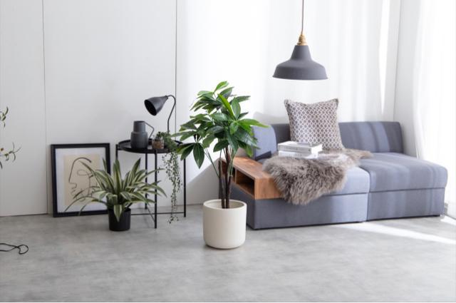 【送料無料】観葉植物 パキラ 光触媒人工観葉植物 インテリア 置物 < インテリア/ライフ 【送料無料】観葉植物 パキラ 光触媒人工観葉植物 インテリア 置物 < インテリア/ライフの