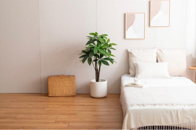 【送料無料】観葉植物 パキラ 光触媒人工観葉植物 インテリア 置物 < インテリア/ライフ 【送料無料】観葉植物 パキラ 光触媒人工観葉植物 インテリア 置物 < インテリア/ライフの