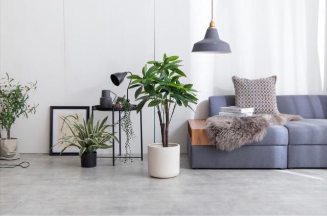 【送料無料】観葉植物 パキラ 光触媒人工観葉植物 インテリア 置物 < インテリア/ライフ 【送料無料】観葉植物 パキラ 光触媒人工観葉植物 インテリア 置物 < インテリア/ライフの