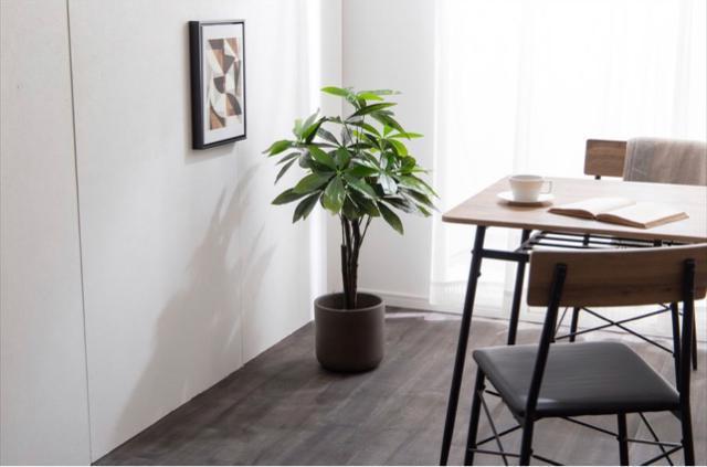 【送料無料】観葉植物 パキラ 光触媒人工観葉植物 インテリア 置物 < インテリア/ライフ 【送料無料】観葉植物 パキラ 光触媒人工観葉植物 インテリア 置物 < インテリア/ライフの