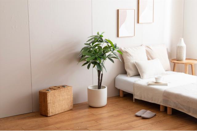 【送料無料】観葉植物 パキラ 光触媒人工観葉植物 インテリア 置物 < インテリア/ライフ 【送料無料】観葉植物 パキラ 光触媒人工観葉植物 インテリア 置物 < インテリア/ライフの