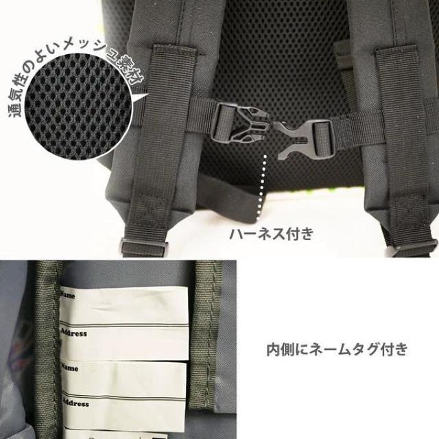 sN~ bN fBpbN LbY WjA w ct ʉ  s LN^[@@x[W  LbY/xr[ 