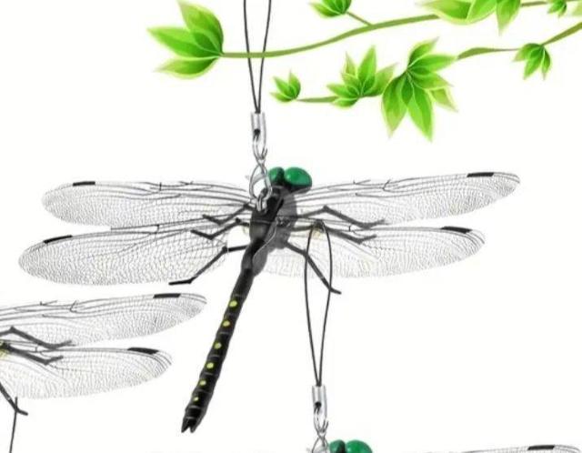 eXgς݁ꂩAĨV[YIj} @AIALvAoCLOȂ  W[/X|[c 