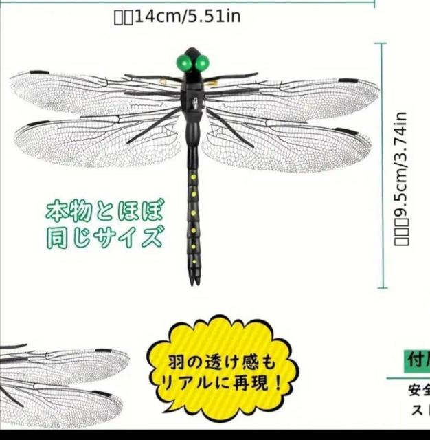 eXgς݁ꂩAĨV[YIj} @AIALvAoCLOȂ  W[/X|[c 