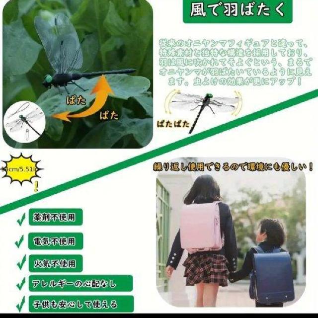 eXgς݁ꂩAĨV[YIj} @AIALvAoCLOȂ  W[/X|[c 