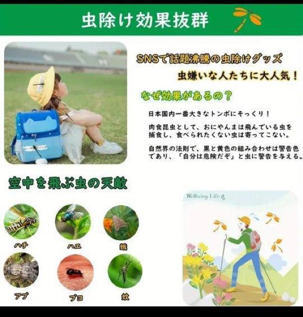 eXgς݁ꂩAĨV[YIj} @AIALvAoCLOȂ  W[/X|[c 