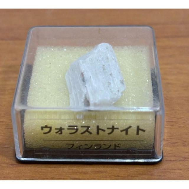 yzfBASXeB[j gW[Xg[ EHXgiCg tBh zW{̂ qȂ   zr[ 