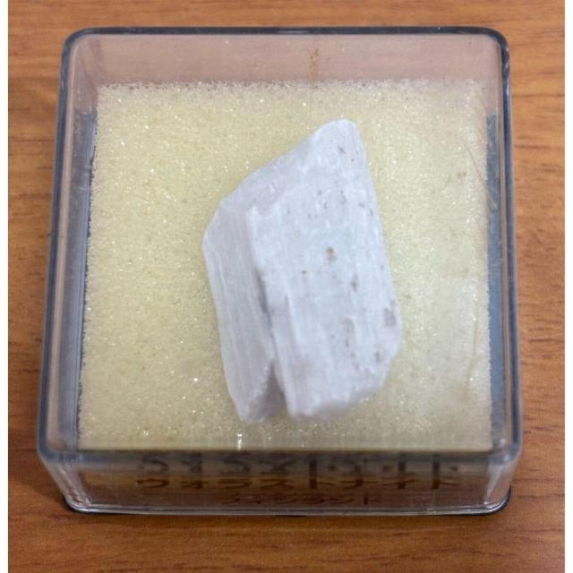 yzfBASXeB[j gW[Xg[ EHXgiCg tBh zW{̂ qȂ  zr[ 