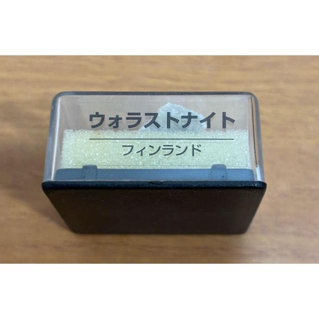 yzfBASXeB[j gW[Xg[ EHXgiCg tBh zW{̂ qȂ  zr[ 