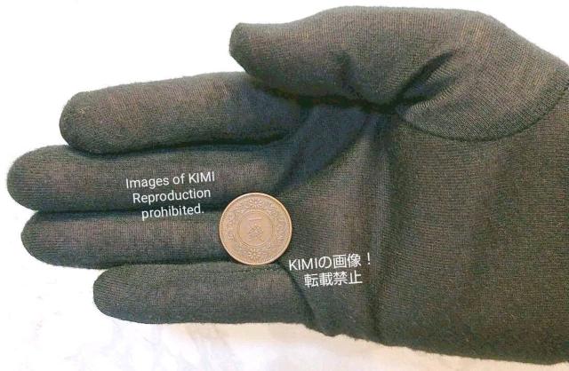 ˈK݁@a22.9mm 3.81g 吳\N@{@d݁@ÑK@Ôp@i@RC@ݕ@AeB[N@T  zr[ 