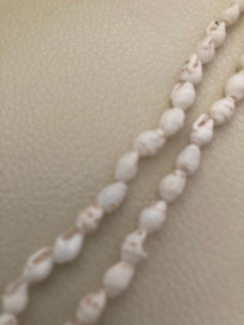1590.未使用☆白い貝がら ロングネックレス < 女性アクセサリー/時計  1590.未使用☆白い貝がら ロングネックレス < 女性アクセサリー/時計の
