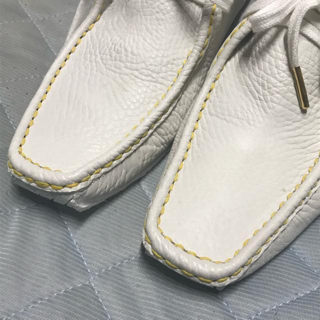 Ki i CBg U[hCrOV[Y zCg6 25cm