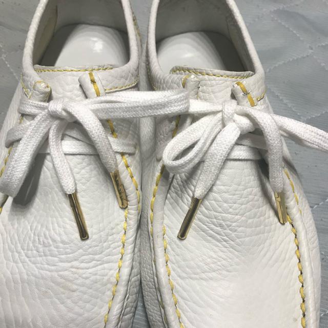 Ki i CBg U[hCrOV[Y zCg6 25cm