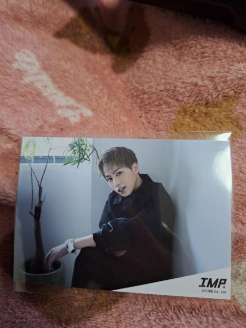 IMP.横原ゆうき写真 < タレントグッズ  IMP.横原ゆうき写真  < タレントグッズの