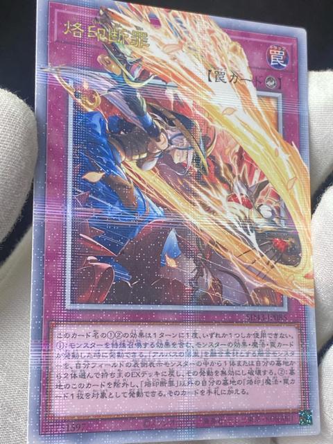 �V�Y�� ����f�� 25th �N�H�[�^�[�Z���`�����[�V�[�N���b�g QCSE ���i �� �g���[�f�B���O�J�[�h�� 