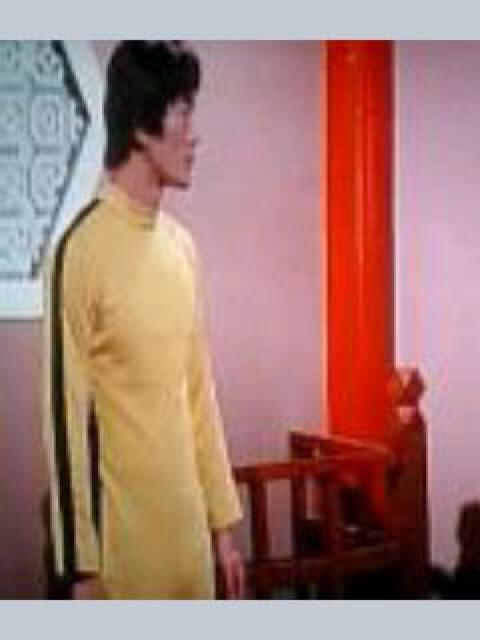 VSVY l̃Jt[ u[XB@`  CD/DVD/rfI 