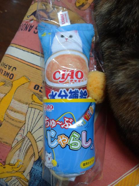 CIAO`[@mxeB@`[u炵@L̂ 