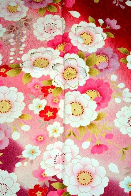 �U�� �ō��� ���i �������̐� �򂵐��� ��ʂ��n ���� �V�V���E �}����� �� �g��162���� ����65.5���� T3667 �� �����t�@�b�V������ 