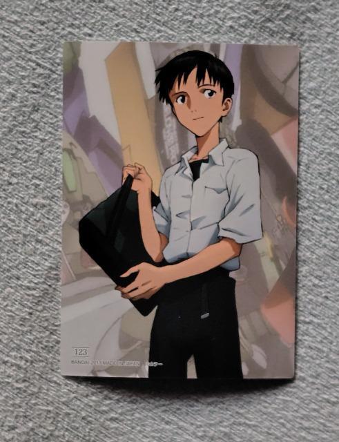 エヴァンゲリオン トレーディングカード☆No123 < トレーディングカード エヴァンゲリオン トレーディングカード☆No123 < トレーディングカードの