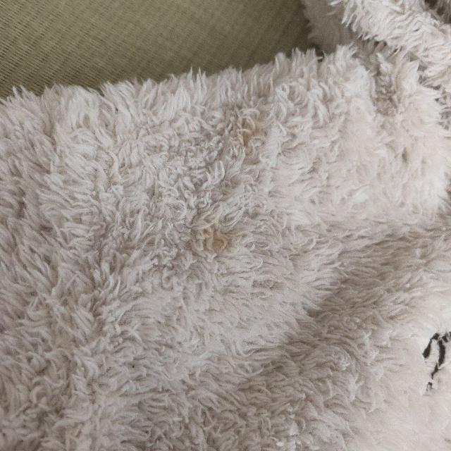 BREEZE �~�b�t�B�[ �E�T�M���t���t���[�X�p�[�J�[ �z���C�g 100 �� �u�����h�� 