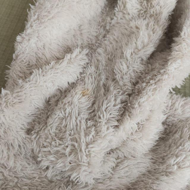 BREEZE �~�b�t�B�[ �E�T�M���t���t���[�X�p�[�J�[ �z���C�g 100 �� �u�����h�� 