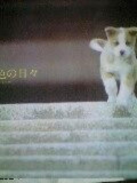ߐF̓X   idoR[h   CD/DVD/rfI 