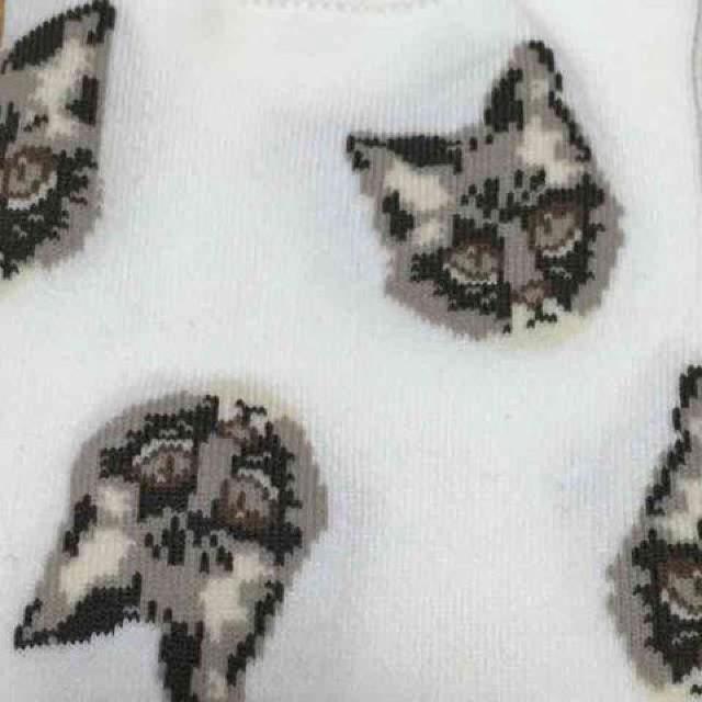 キャンディストリッパー・CATCATCAT猫フェイスソックス。白 < ブランド キャンディストリッパー・CATCATCAT猫フェイスソックス。白 < ブランドの