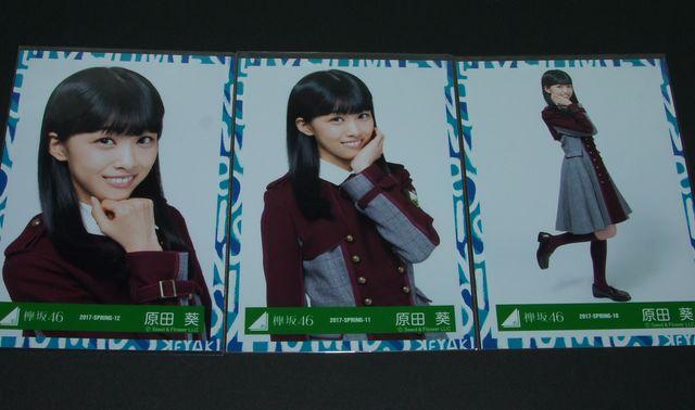 O46 ʐ^R@c@2017-SPRING   ^gObY 